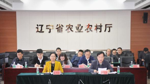 成人网站