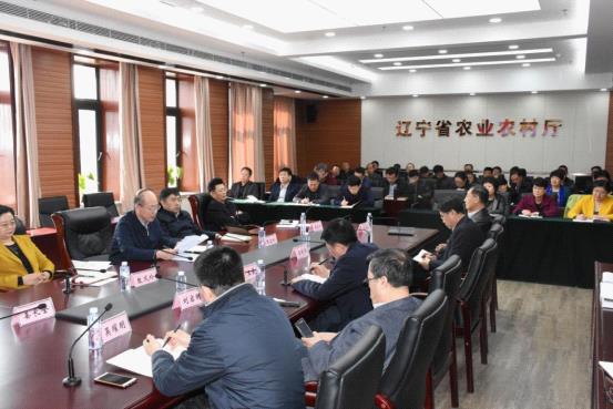 成人网站