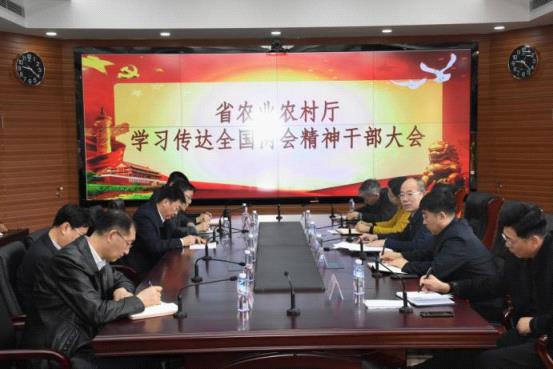 成人网站