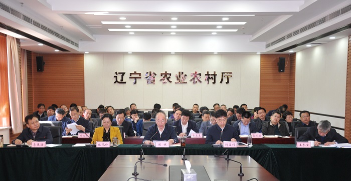 成人网站