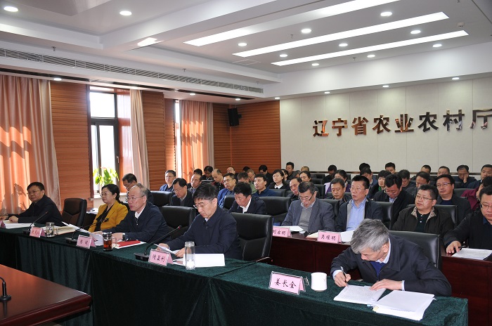 成人网站