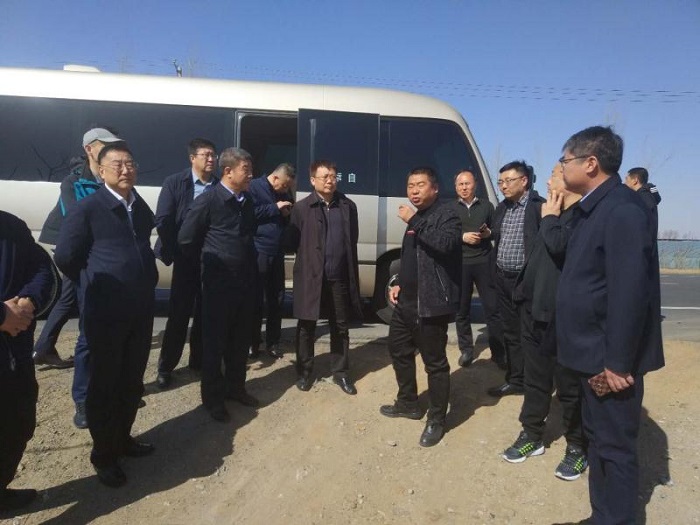 成人网站