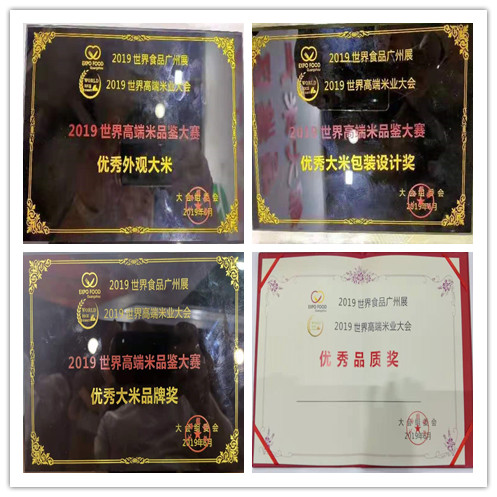 成人网站