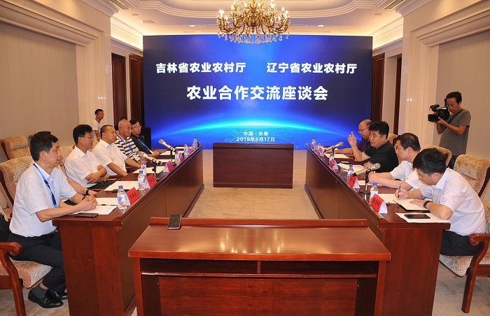 成人网站