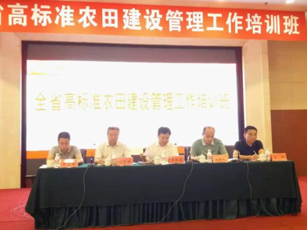 成人网站