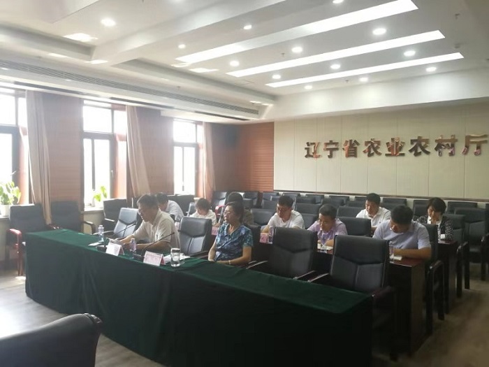 成人网站
