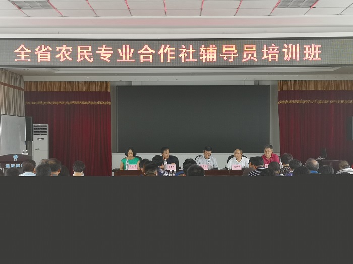 成人网站
