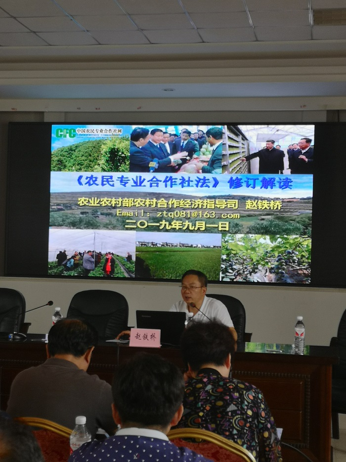 成人网站