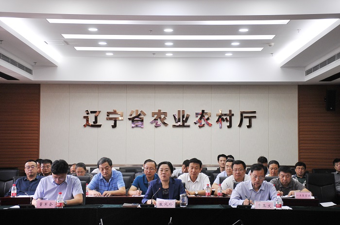 成人网站