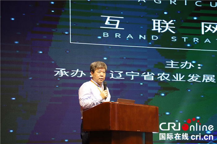 成人网站