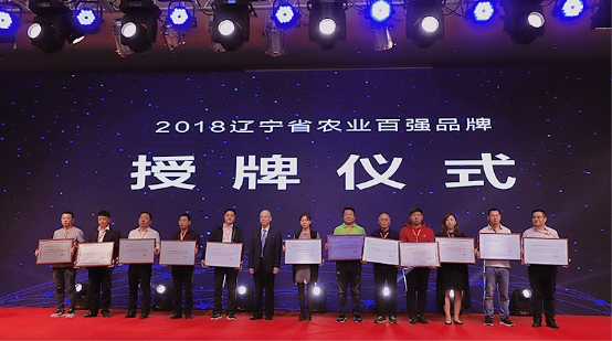成人网站