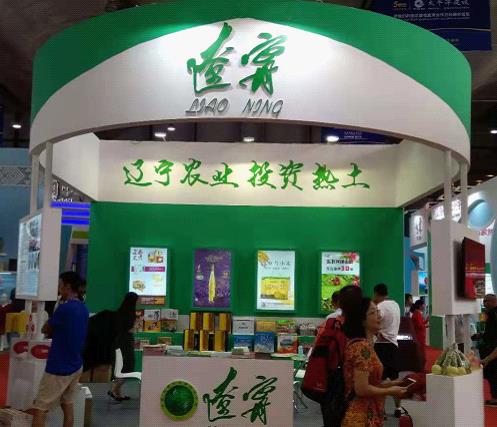 成人网站