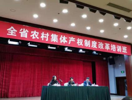 成人网站