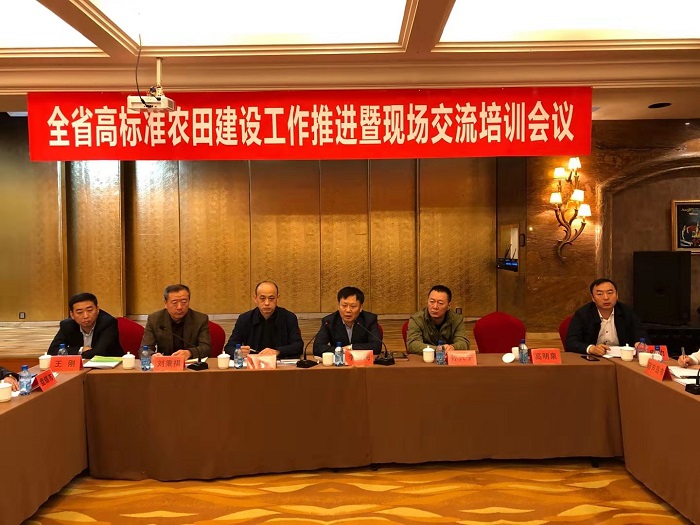 成人网站