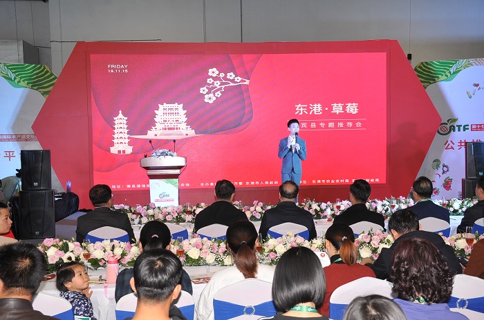 成人网站