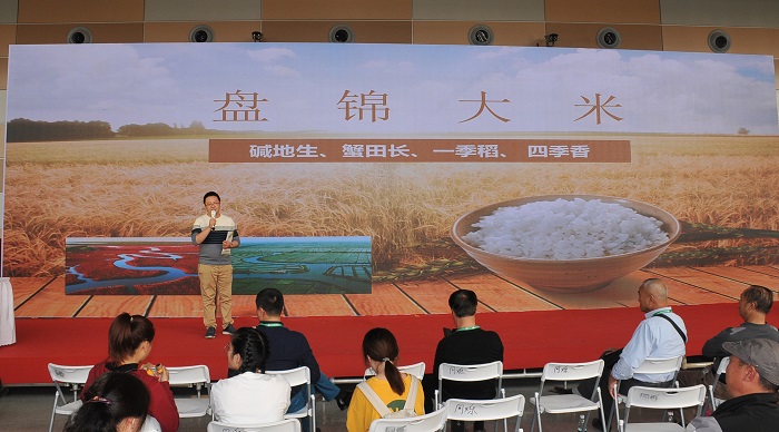 成人网站