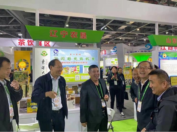 成人网站