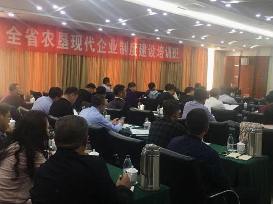 成人网站