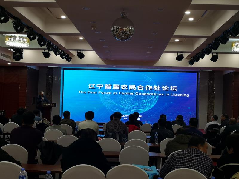成人网站