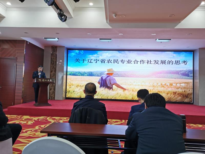 成人网站