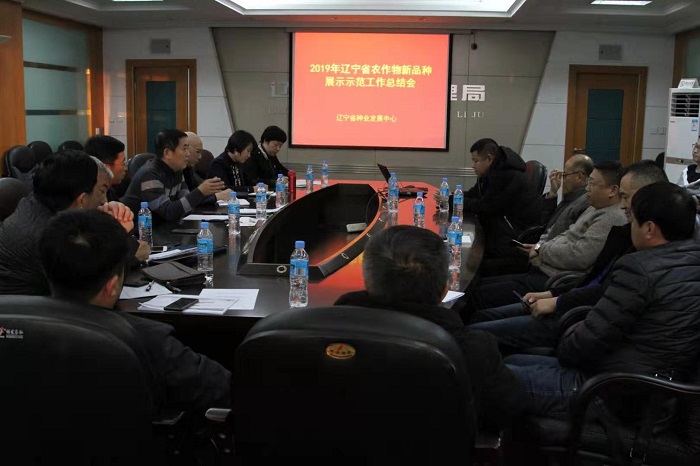成人网站