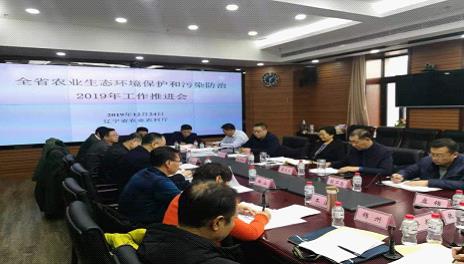 成人网站
