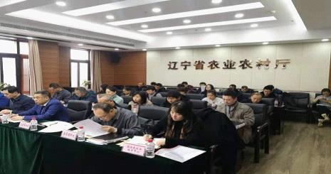 成人网站