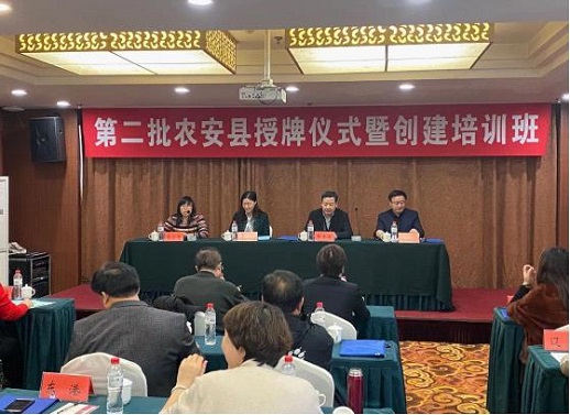 成人网站