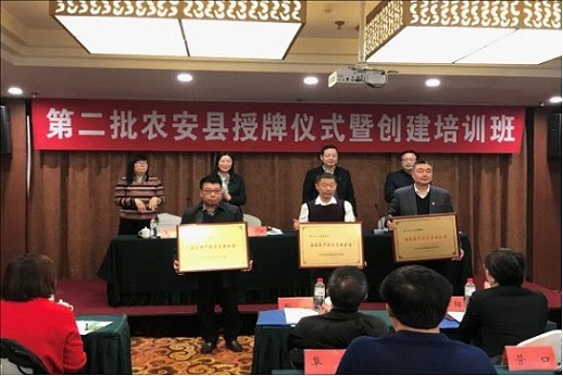 成人网站