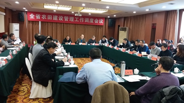 成人网站