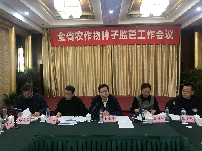 成人网站