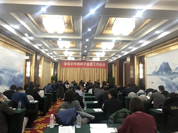 成人网站