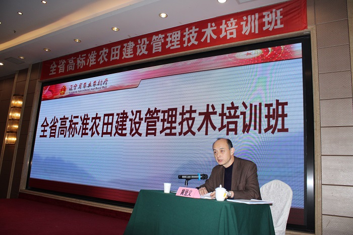 成人网站