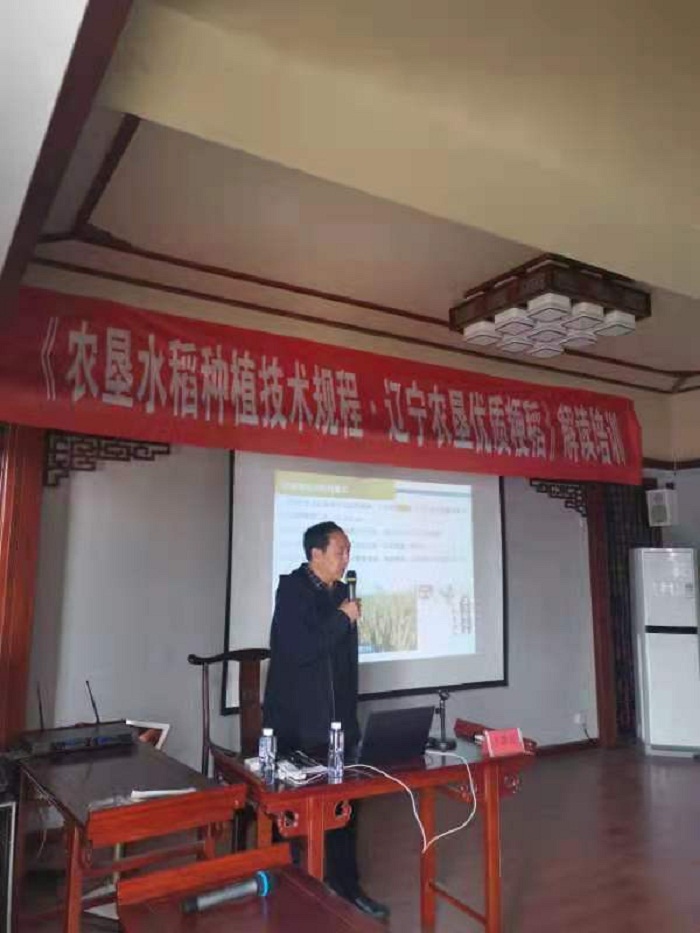 成人网站