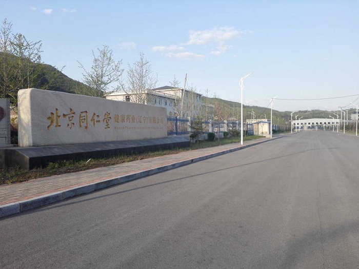 成人网站