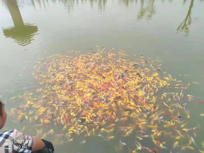 成人网站