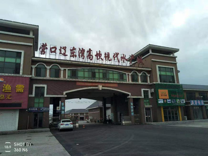 成人网站
