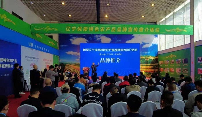 成人网站