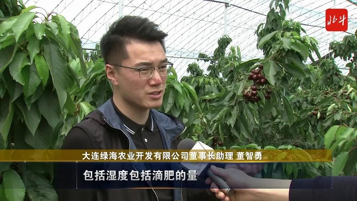 成人网站