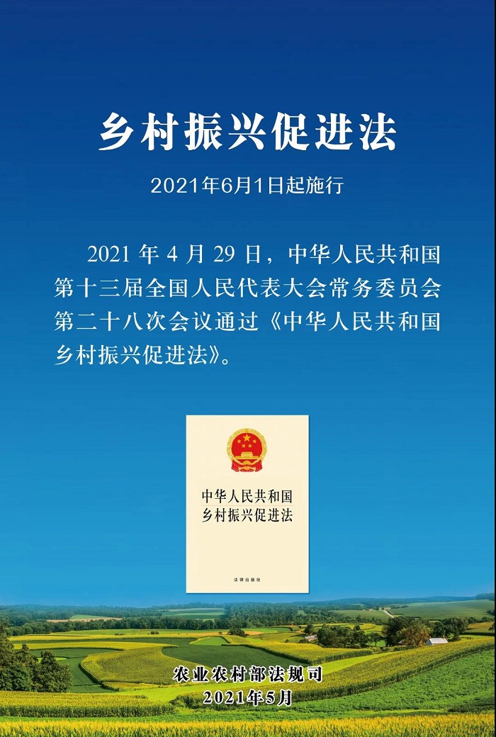 成人网站