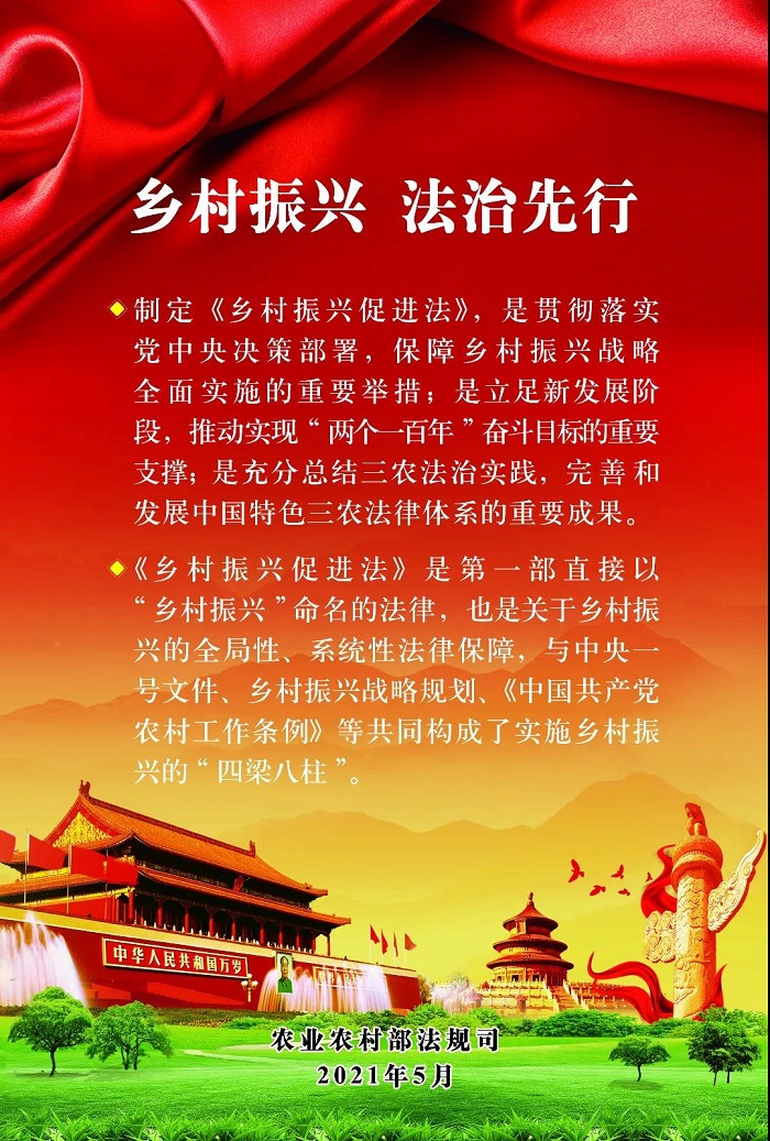 成人网站