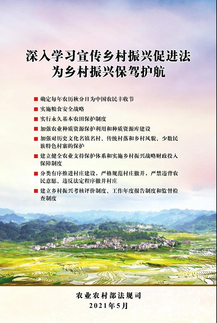 成人网站