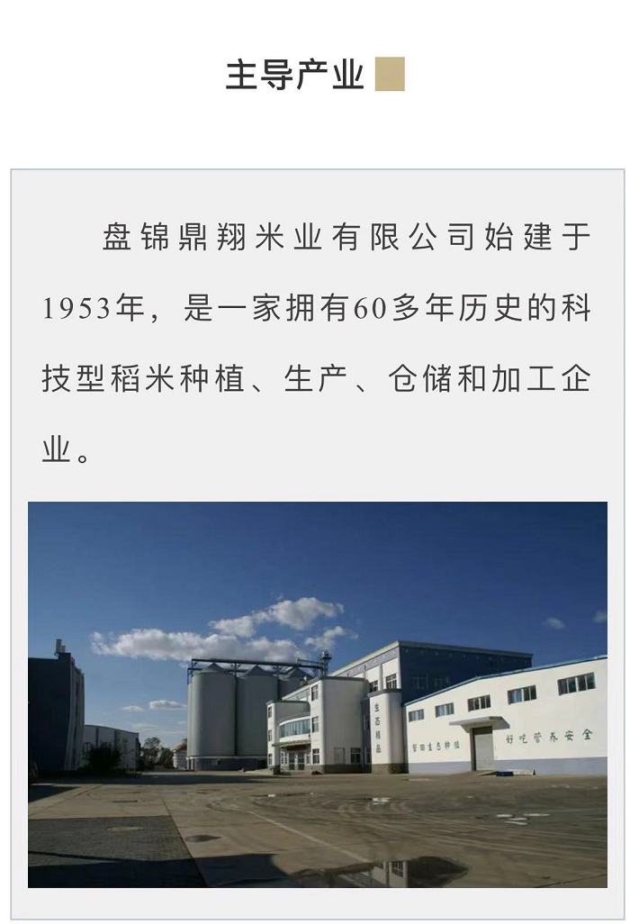 成人网站