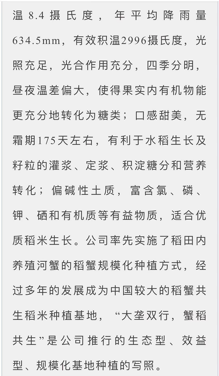 成人网站