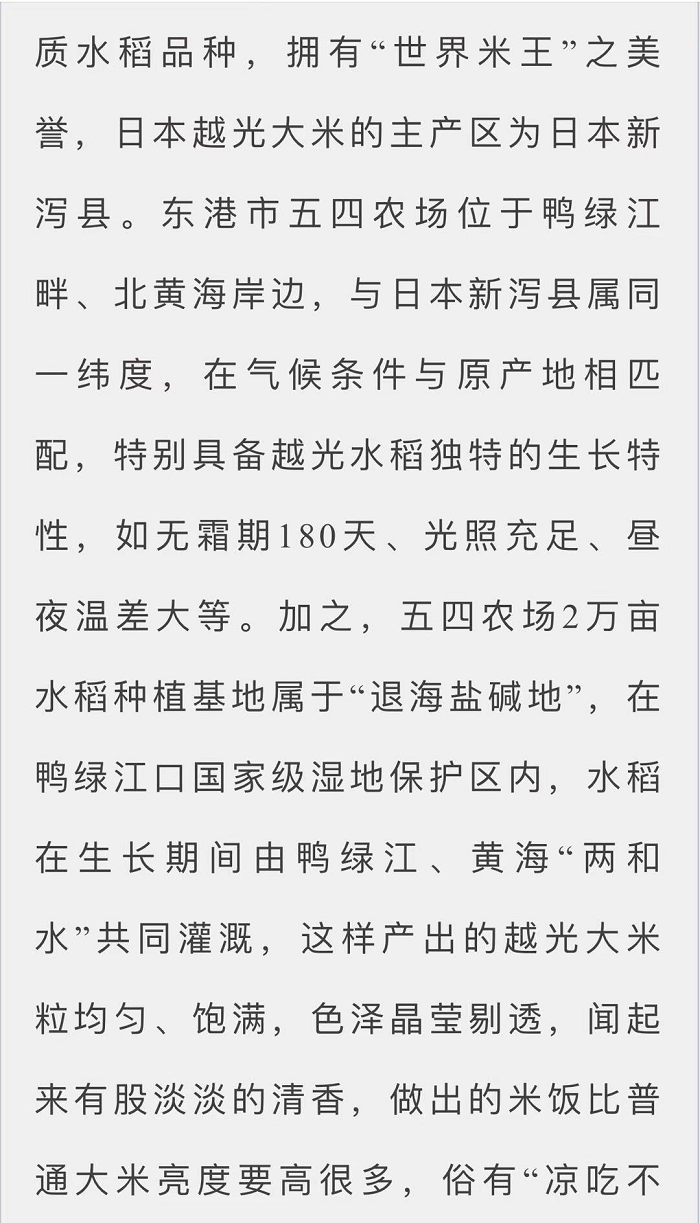 成人网站