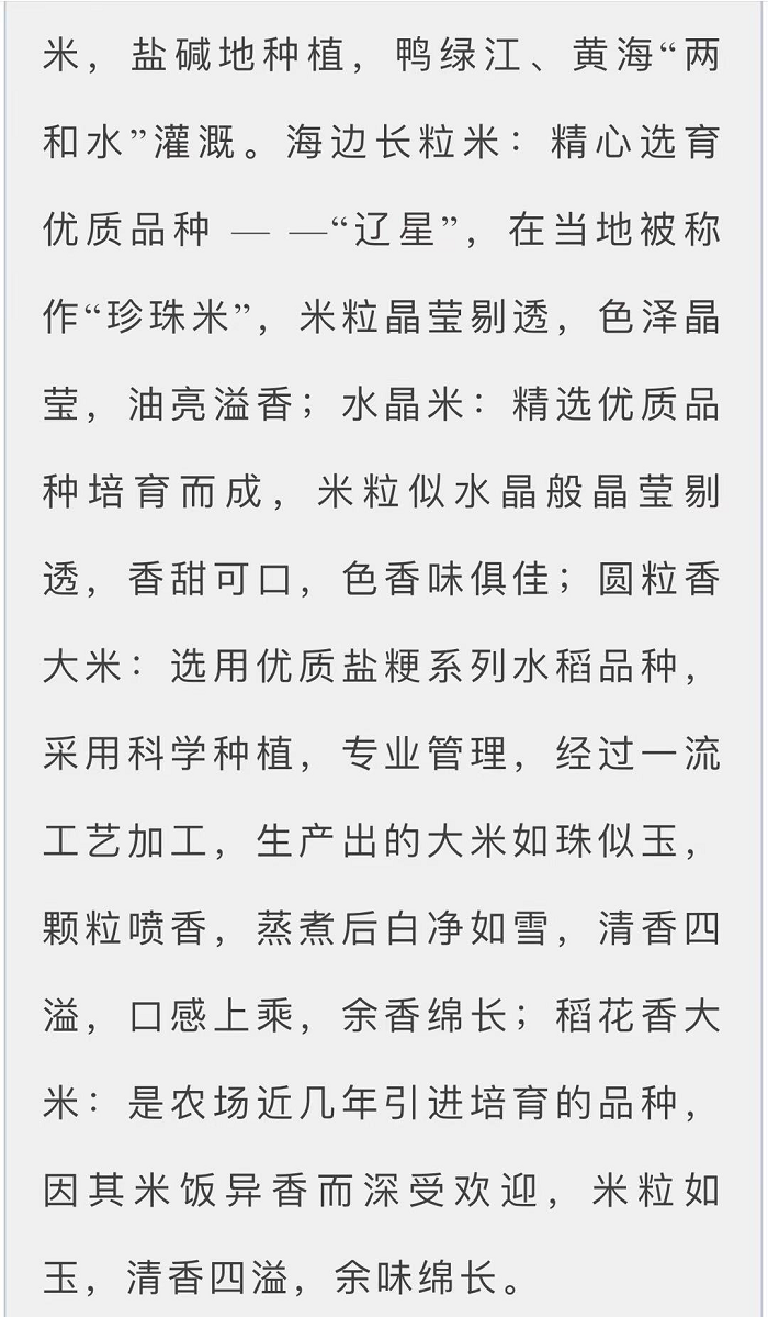 成人网站