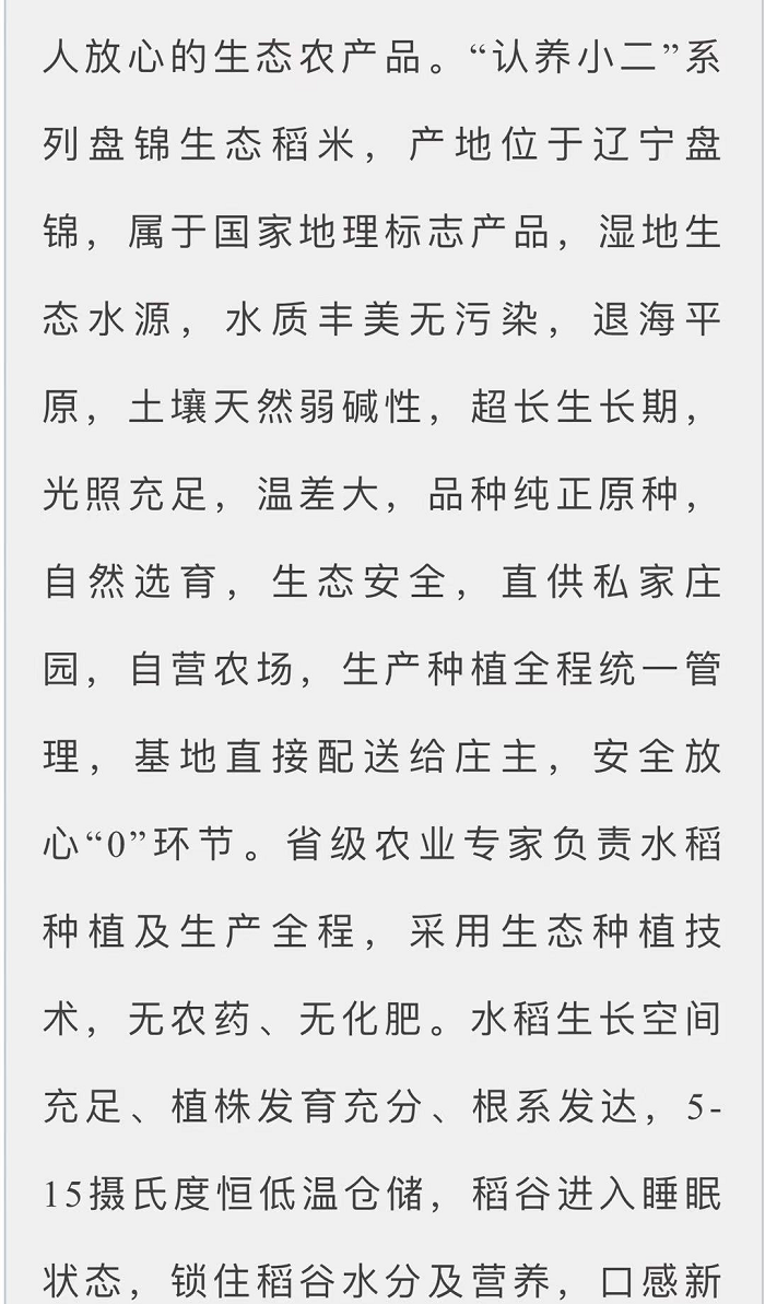 成人网站