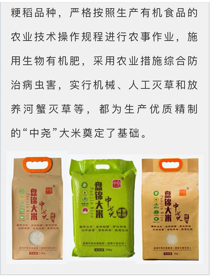 成人网站
