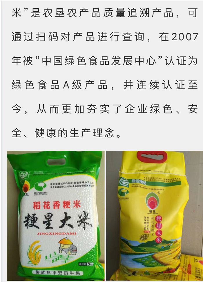 成人网站