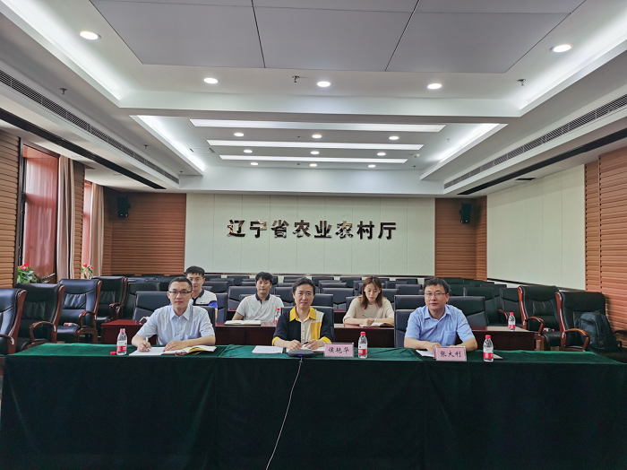 成人网站